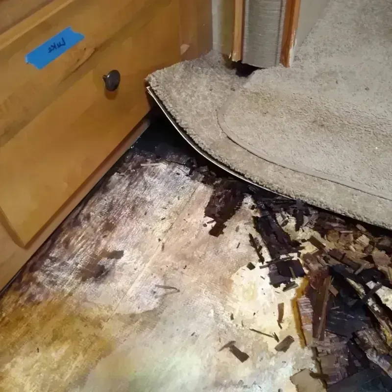 Wood Floor Water Damage in Mobridge, SD